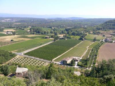 paysage des Baux de Provence @michel_meuret_INRAE