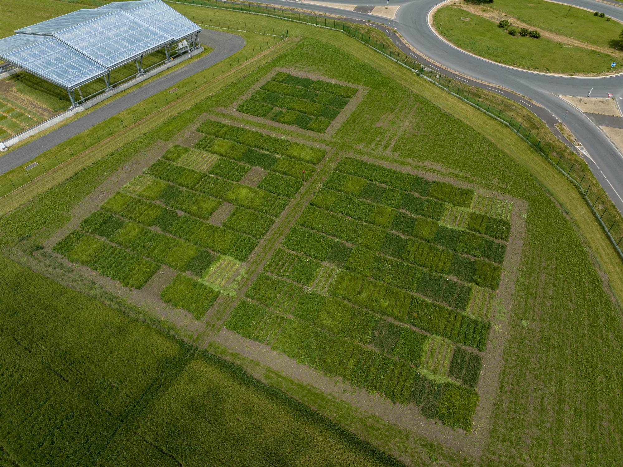 Vue aérienne du dispositif de 160 parcelles : une étude approfondie de 40 traitements de prairies et d'agroprairies, avec quatre réplicas chacun, sur le site de Crouël à Clermont-Ferrand, géré par INRAE