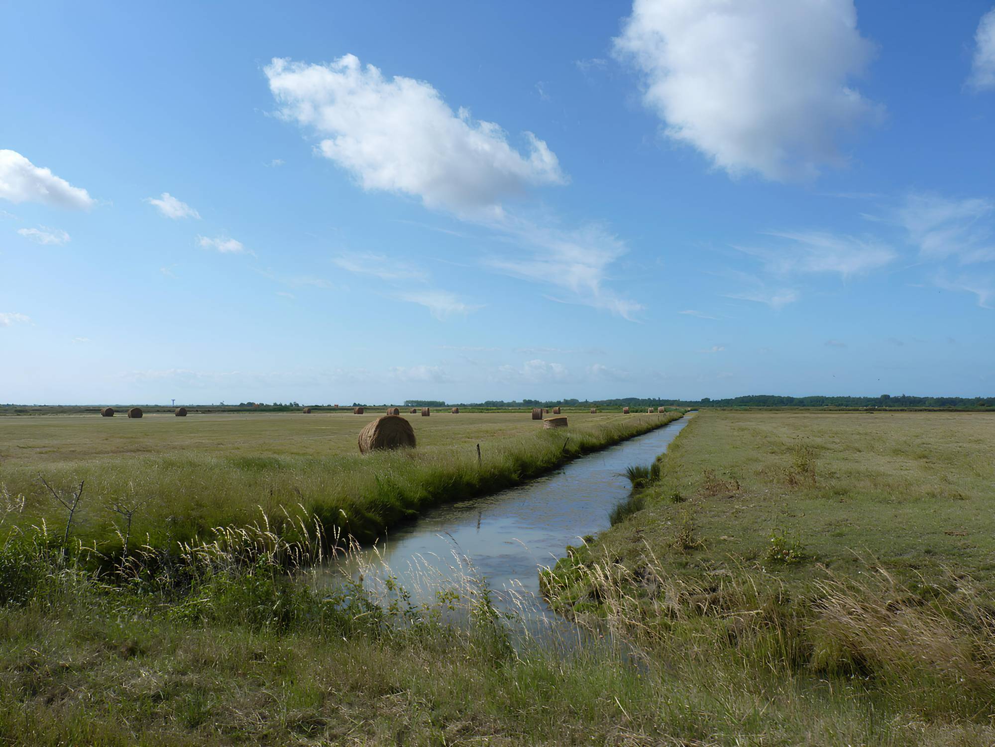marais : prairies de fauche séparées par un canal @inrae.fr