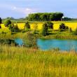 paysage avec prairie, rivière et champ de colza @Roben_david_pixabia libre de droit