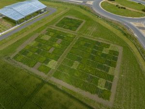 Vue aérienne du dispositif de 160 parcelles : une étude approfondie de 40 traitements de prairies et d'agroprairies, avec quatre réplicas chacun, sur le site de Crouël à Clermont-Ferrand, géré par INRAE
