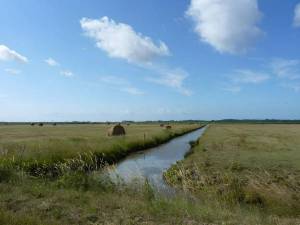 marais : prairies de fauche séparées par un canal @inrae.fr
