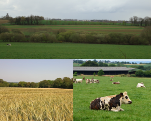 Diversit&eacute; des couverts agricoles en syst&egrave;mes de polyculture-&eacute;levage et haies bocag&egrave;res &agrave; diff&eacute;rentes &eacute;chelles